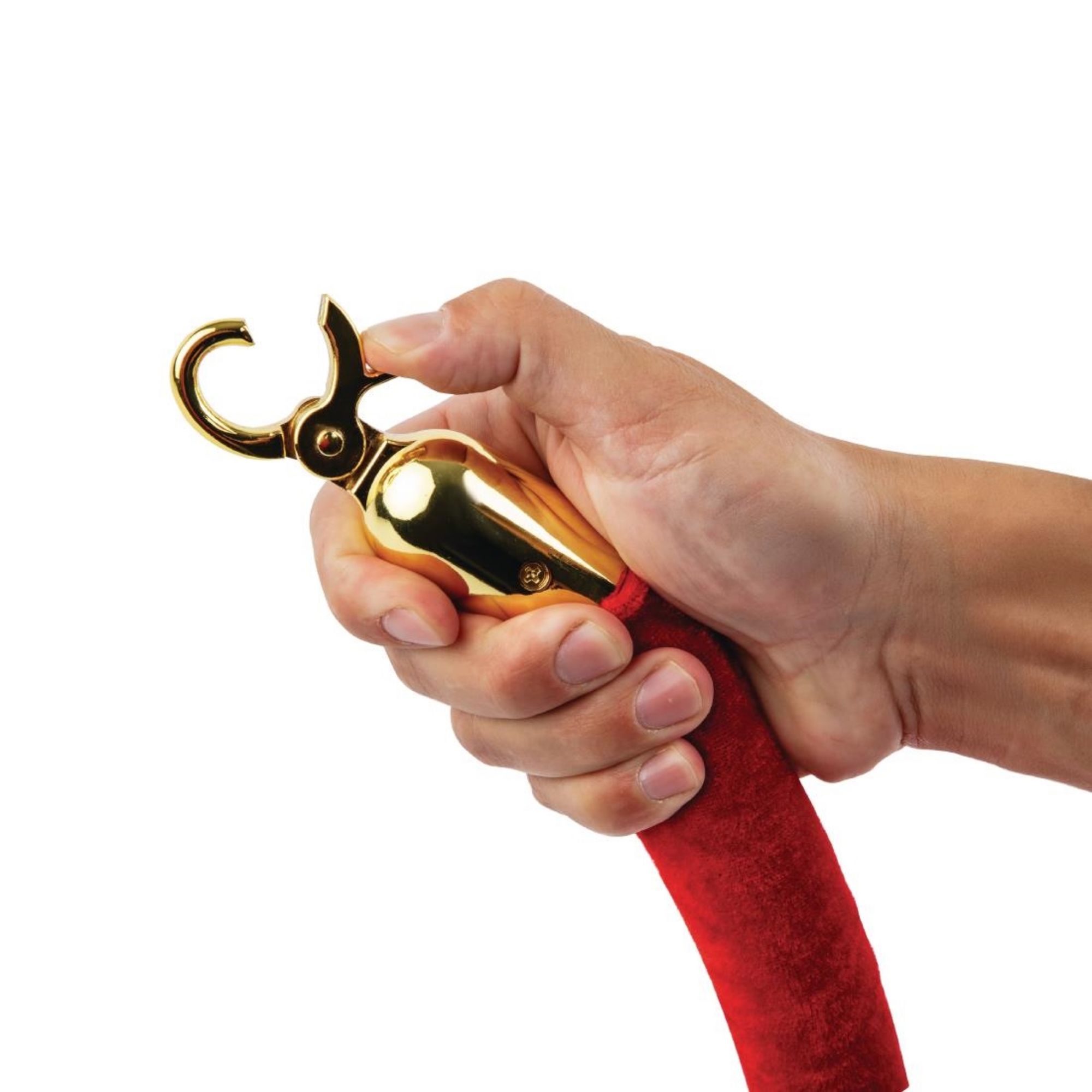 Picture of Red Rope Barrier System