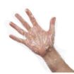 Picture of Disposable Powder-Free Polyethylene Gloves Clear (100 pack) - U601