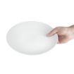 Picture of Olympia Whiteware Coupe Plates 250mm (Pack of 12)
