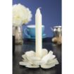 Picture of Bolsius 7" Bistro Candles Ivory (Pack of 45)