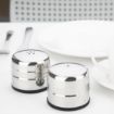 Picture of Olympia Jumbo Salt and Pepper Set