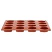 Picture of Pavoni Formaflex Silicone Oval Mould 16 Cup - N951
