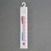 Picture of Hygiplas Hanging Freezer Thermometer