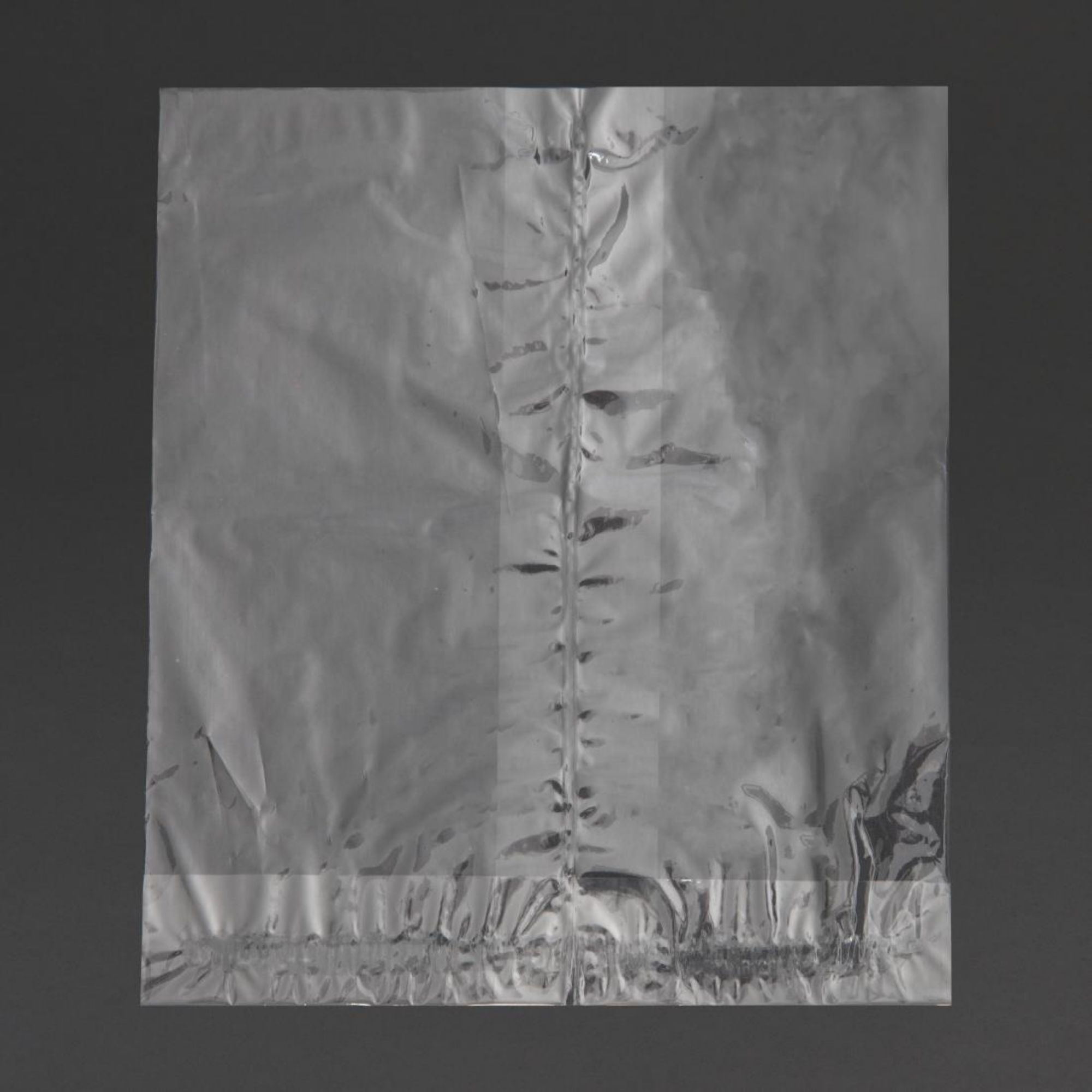 Picture of Disposable Toasting Bags (1000 Pack)