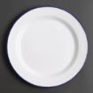 Picture of Olympia Enamel Dinner Plates 245mm (Pack of 6)
