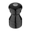 Picture of Olympia Salt and Pepper Set Black