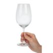 Picture of Schott Zwiesel Ivento Red Wine Glasses 480ml (Pack of 6)