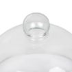 Picture of Glass Cloche 210mm