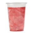 Picture of eGreen Disposable Half Pint Glasses to Brim Glasses UKCA CE Marked (1250 Pack)