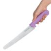 Picture of Hygiplas Serrated Pastry Knife Purple 25.4cm