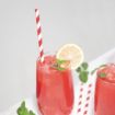 Picture of Fiesta Compostable Individually Wrapped Paper Straws Red Stripes (Pack of 250) - FP442
