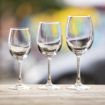 Picture of Olympia Rosario Wine Glasses 250ml (Pack of 6)