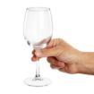 Picture of Olympia Rosario Wine Glasses 350ml (Pack of 6)