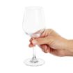 Picture of Olympia Mendoza Wine Glass - 315ml 11oz (Box 6)