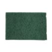 Picture of Jantex Scourer Green (Pack of 10)