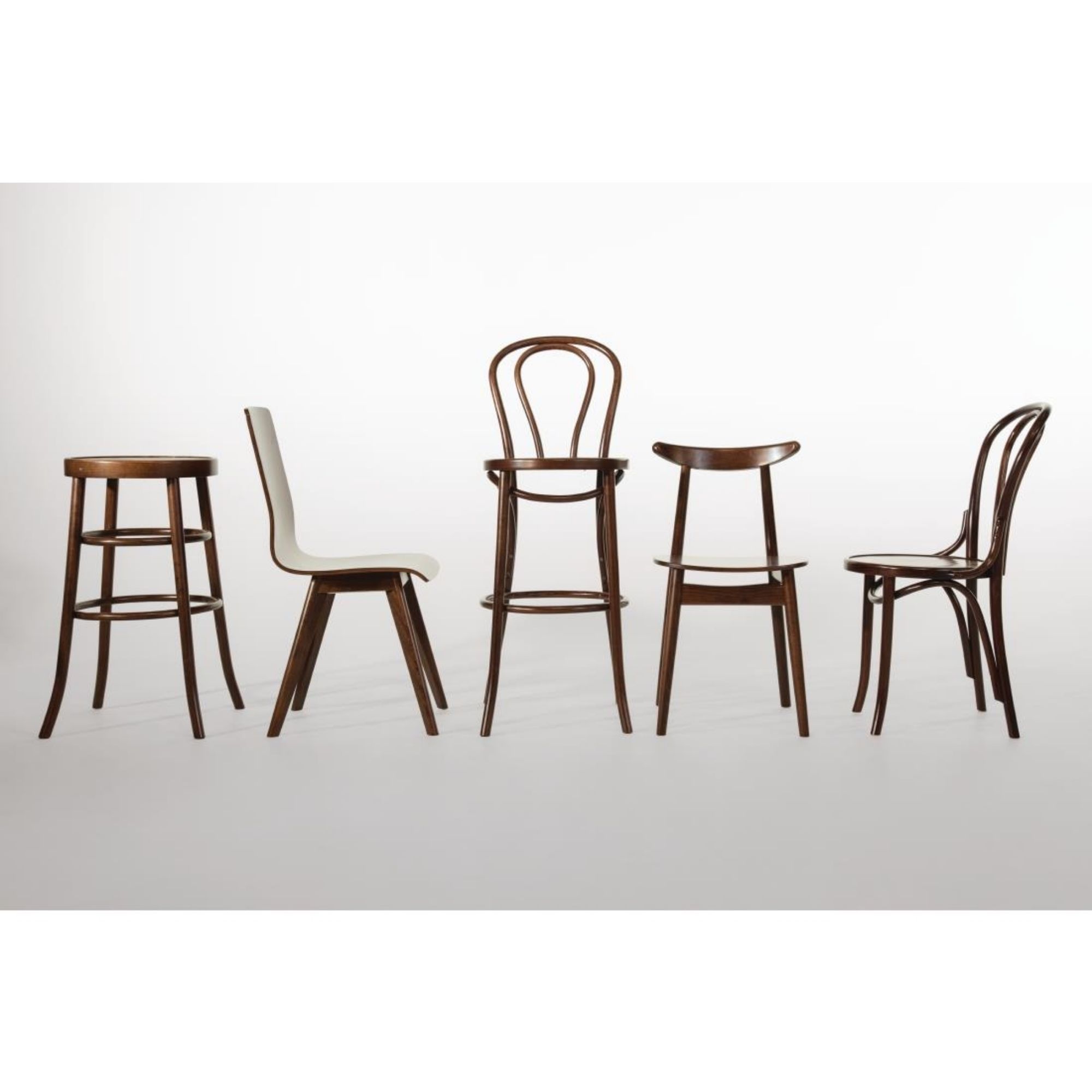 Picture of Fameg Walnut Cowhorn Side Chair (Pack of 2)