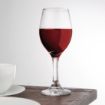 Picture of Olympia Solar Wine Glasses 245ml (Pack of 24)