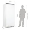 Picture of Polar C-Series Upright Freezer White 600Ltr