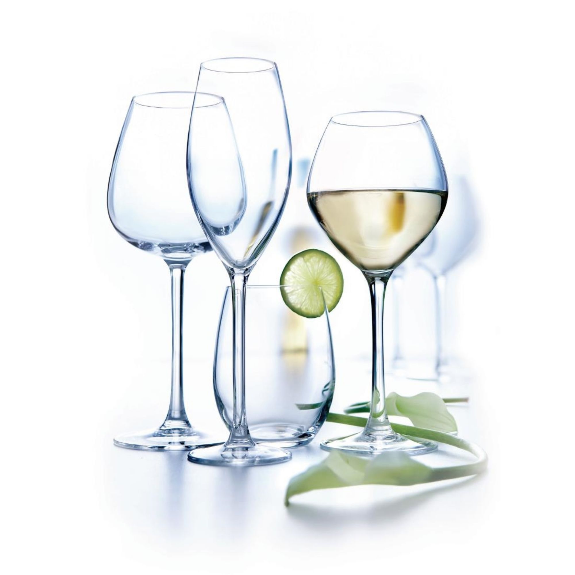 Picture of Arcoroc Grand Cepages White Wine Glasses 470ml (Pack of 12)