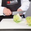 Picture of Dick Premier Plus Chefs Knife 21.6cm