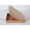 Picture of Fiesta Compostable Plain Pizza Boxes 12" (Pack of 100)