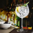 Picture of Olympia Serena Red Wine/Gin Glasses 650ml (6 Pack)