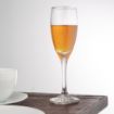 Picture of Olympia Solar Champagne Flutes 170ml (Pack of 24)