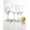 Picture of Olympia Solar Champagne Flutes 170ml (Pack of 24)
