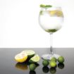Picture of Olympia Bar Collection Crystal Gin Glasses 645ml (Pack of 6)