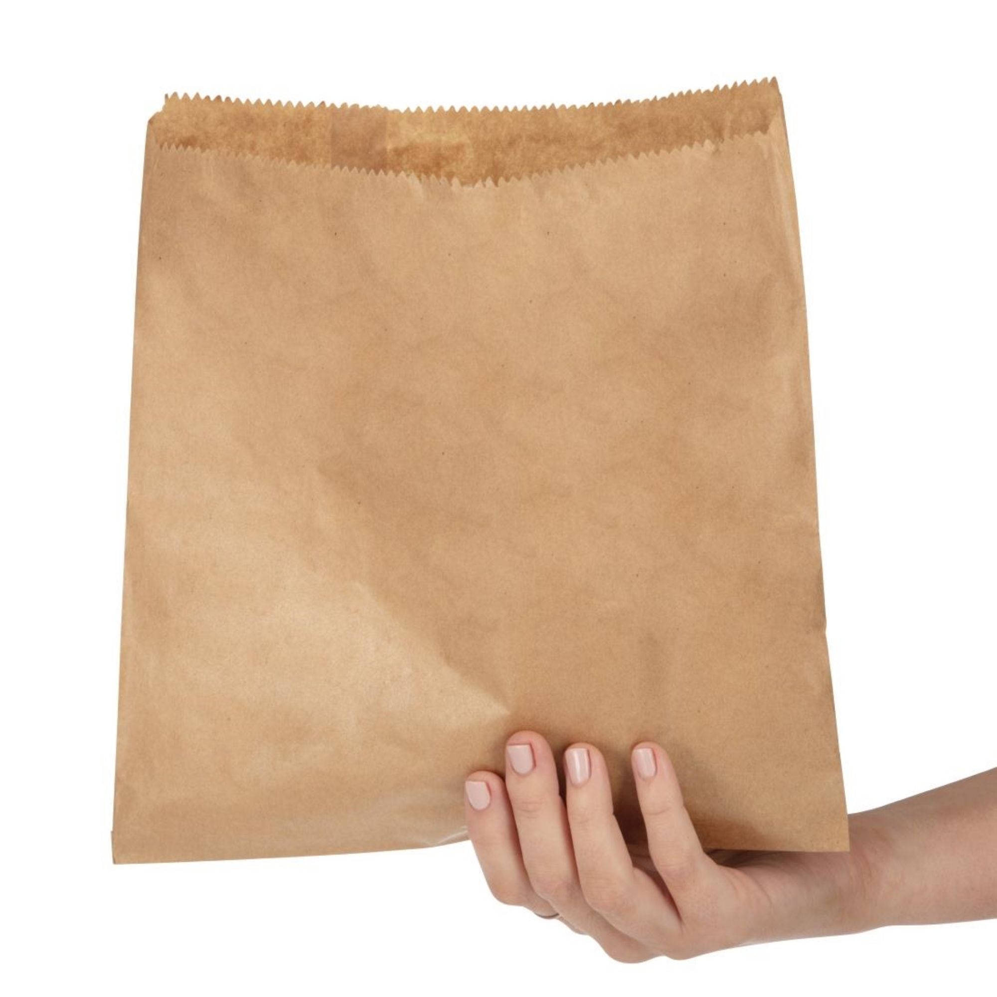 Picture of Fiesta Recyclable Brown Paper Counter Bags Large (1000 Pack)