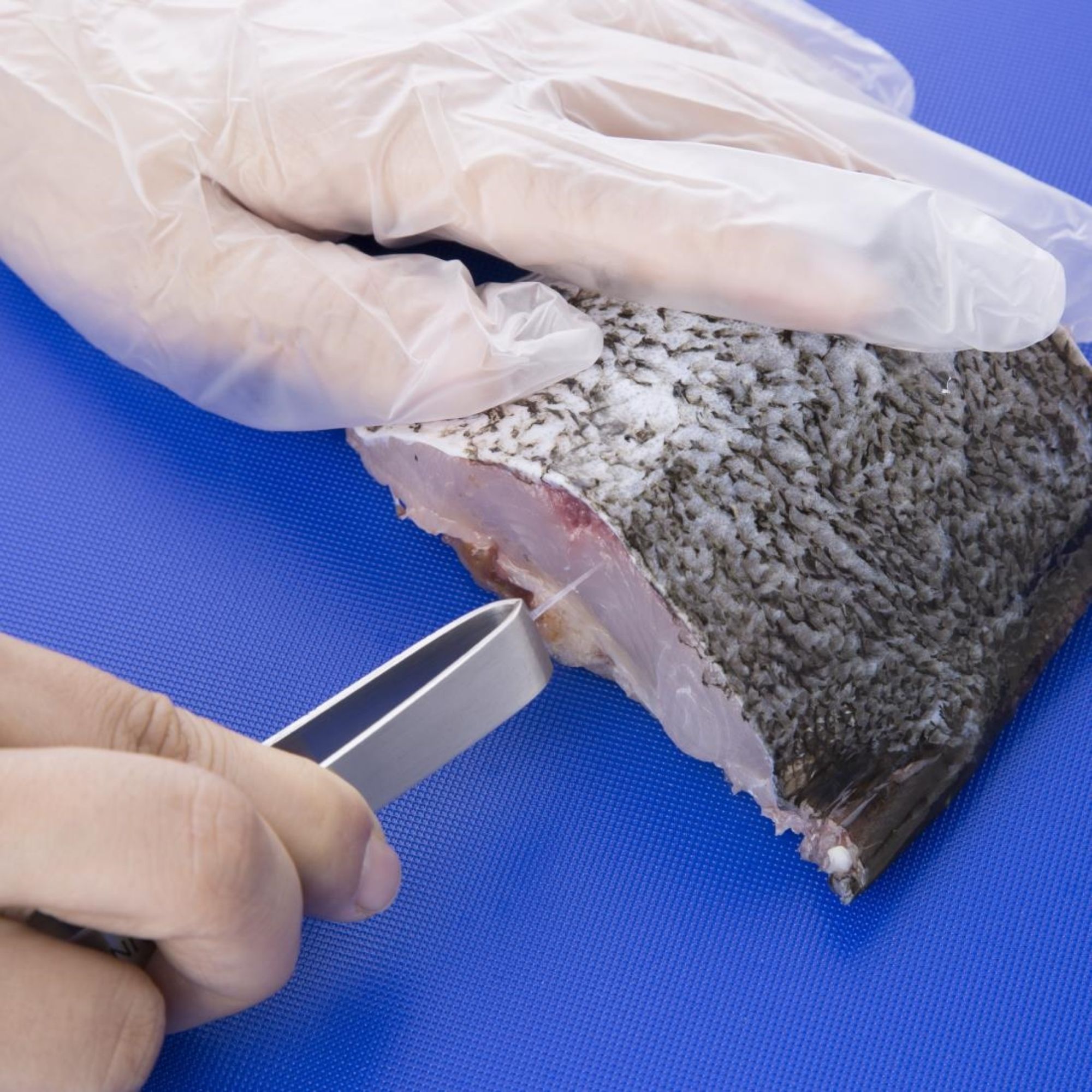 Picture of Vogue Fish Bone Tweezers 30mm