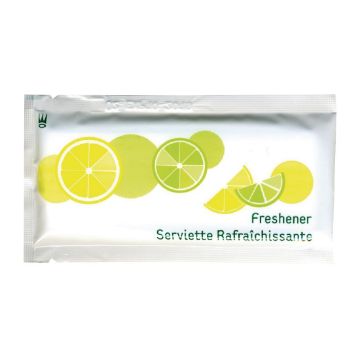 Picture of eGreen Large Freshening Hand Wipes (500 pack)