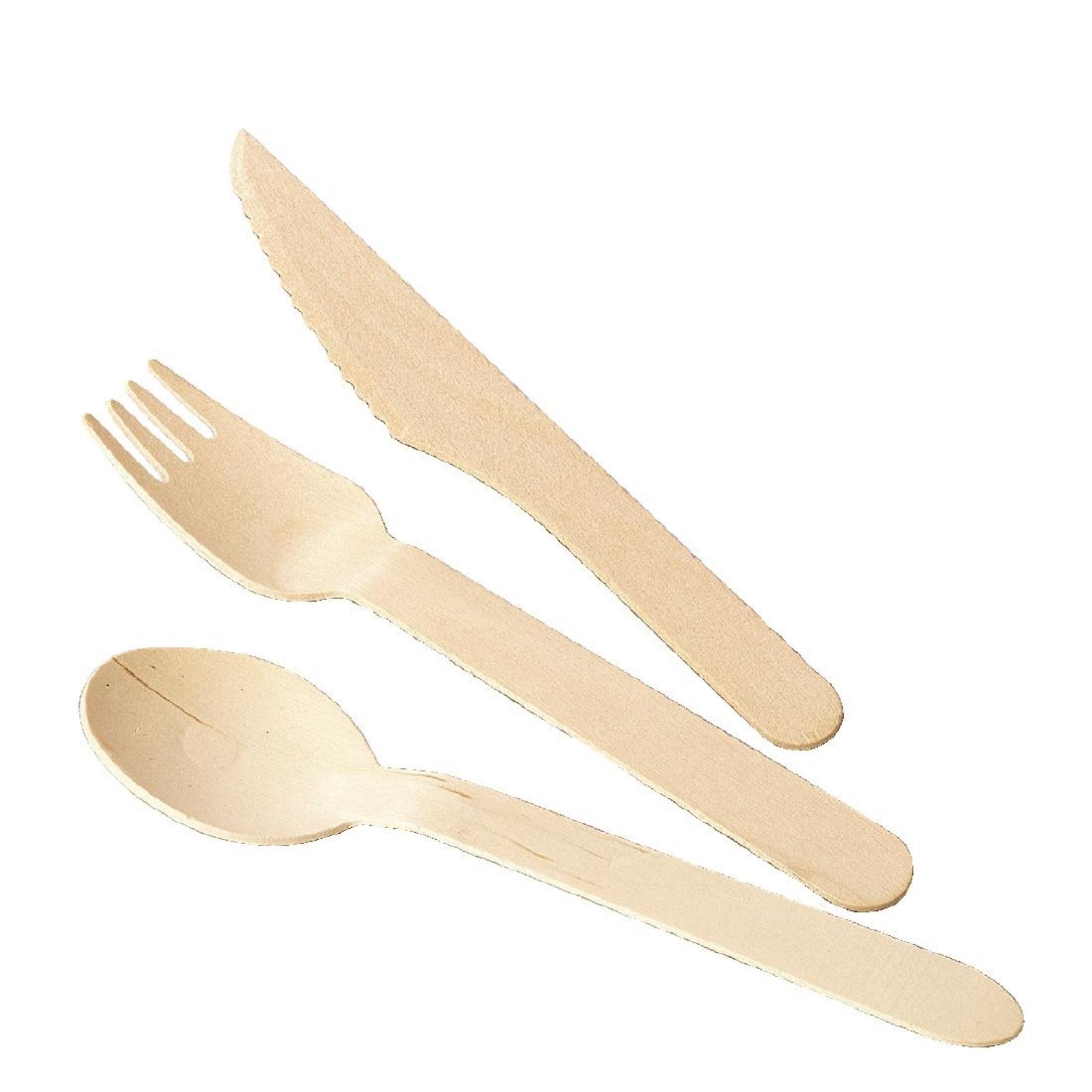 Picture of Fiesta Compostable Wooden Dessert Spoons (Pack of 100)