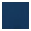 Picture of Fasana Dinner Napkin Blue 40x40cm 3ply 1/4 Fold (Pack of 1000) - CC590