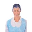 Picture of Lion Haircare Hair Net Light Blue (Pack of 50) - A291