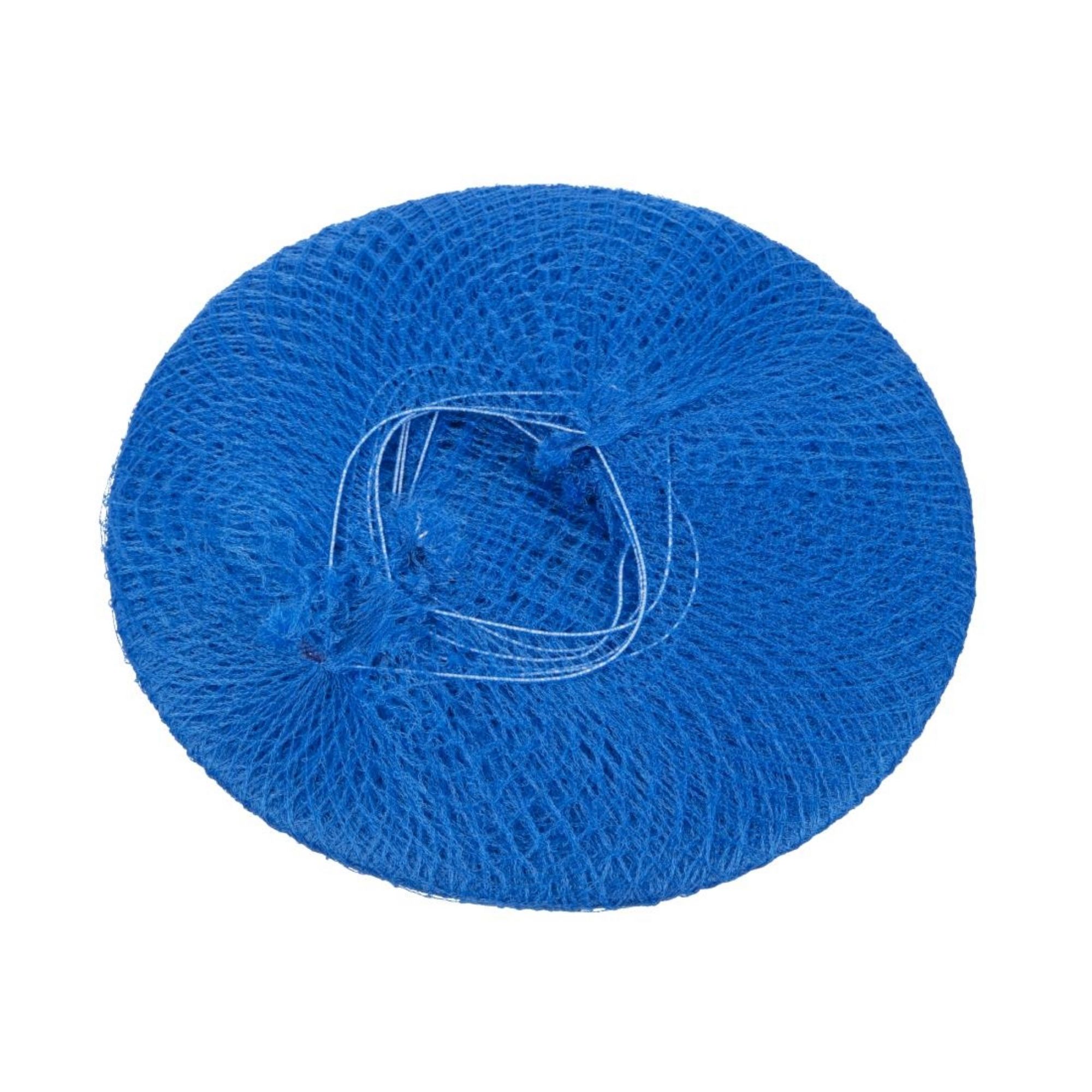 Picture of Lion Haircare Hair Net Light Blue (Pack of 50)