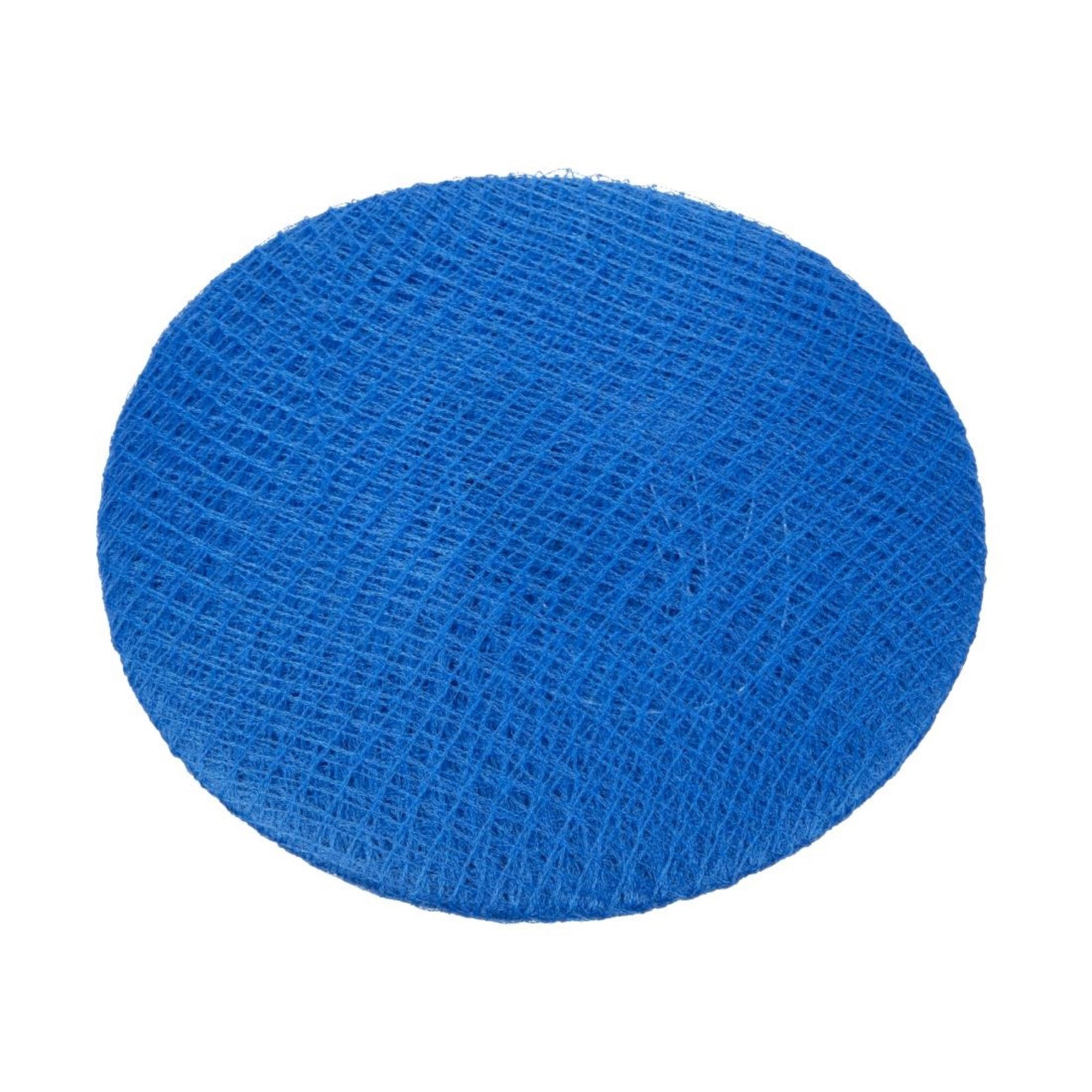 Picture of Lion Haircare Hair Net Light Blue (Pack of 50)