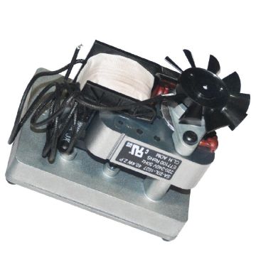 Picture of Buffalo Motor