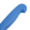 Picture of Hygiplas Fillet Knife Blue 16cm
