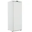 Picture of BLIZZARD Blizzard White Upright 320L Single Hinged Door Freezer LW40