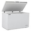 Picture of BLIZZARD 450L Stainless Steel Lid Chest Freezer CF450SS
