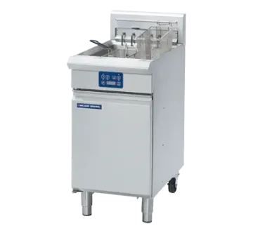 Picture of Blue Seal Evolution Series E43E - 450mm Electric Fryer