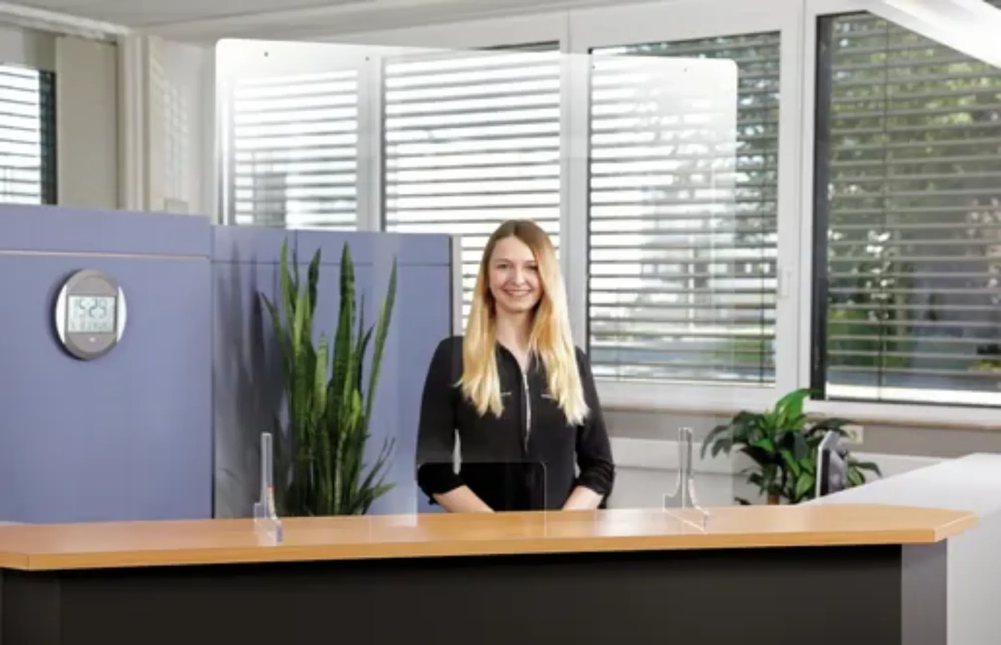 Picture of Bartscher Hygiene screen 1000PGLD