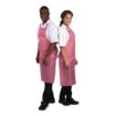 Picture of Whites Water Resistant Bib Apron Red And White Stripe