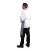 Picture of Whites Bib Apron Blue And White Check