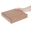 Picture of Fiesta Compostable Plain Pizza Boxes 9" (Pack of 100)