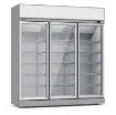 Picture of CombiSteel Glass Door Freezer INS-1530F