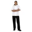 Picture of Whites Boston Unisex Short Sleeve Chefs Jacket White Medium (5 Pack)