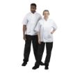 Picture of Whites Boston Unisex Short Sleeve Chefs Jacket White Medium (5 Pack)