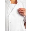 Picture of Whites Boston Unisex Short Sleeve Chefs Jacket White Medium (5 Pack)